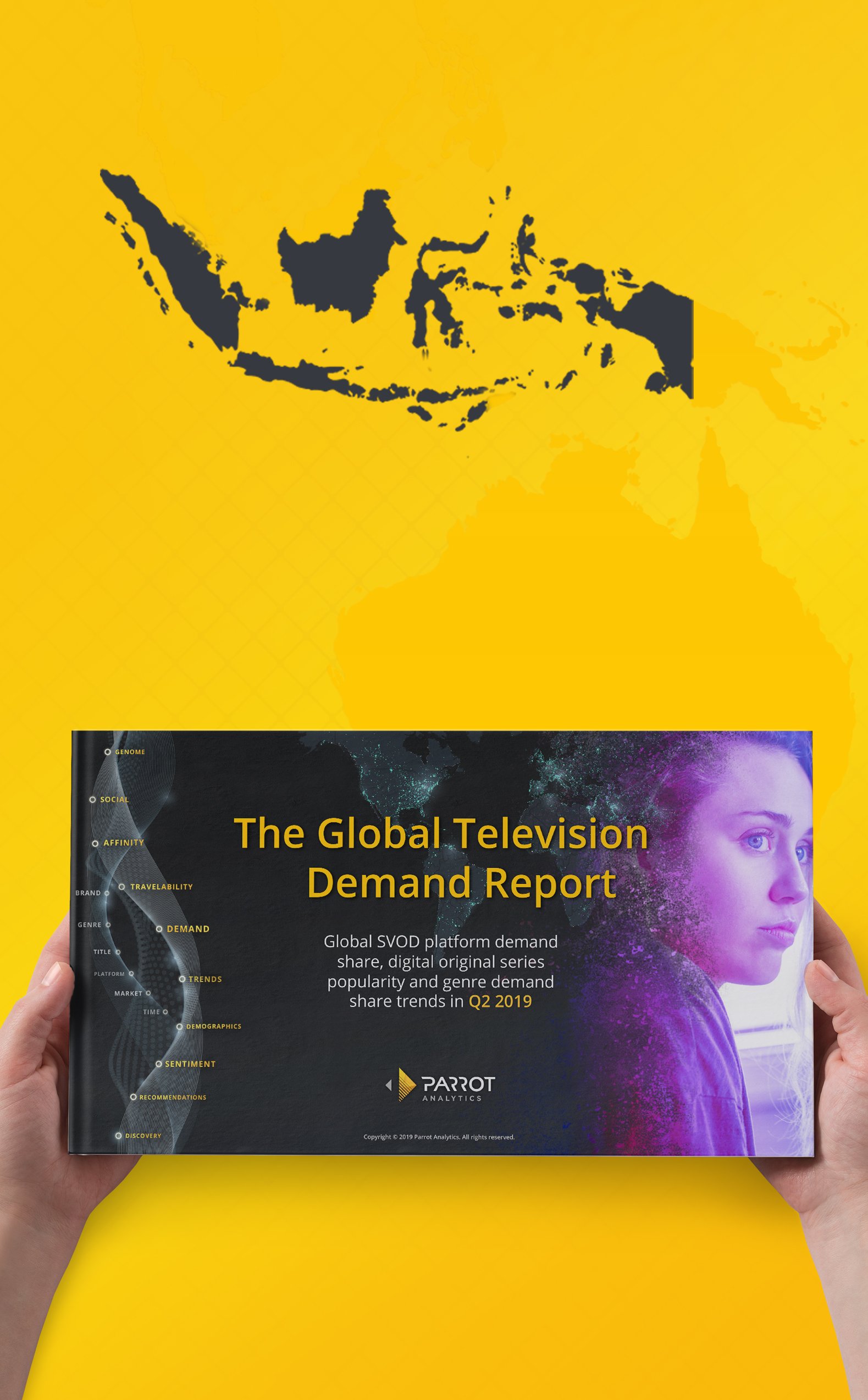 Indonesia SVOD Market Share Demand Report 2019